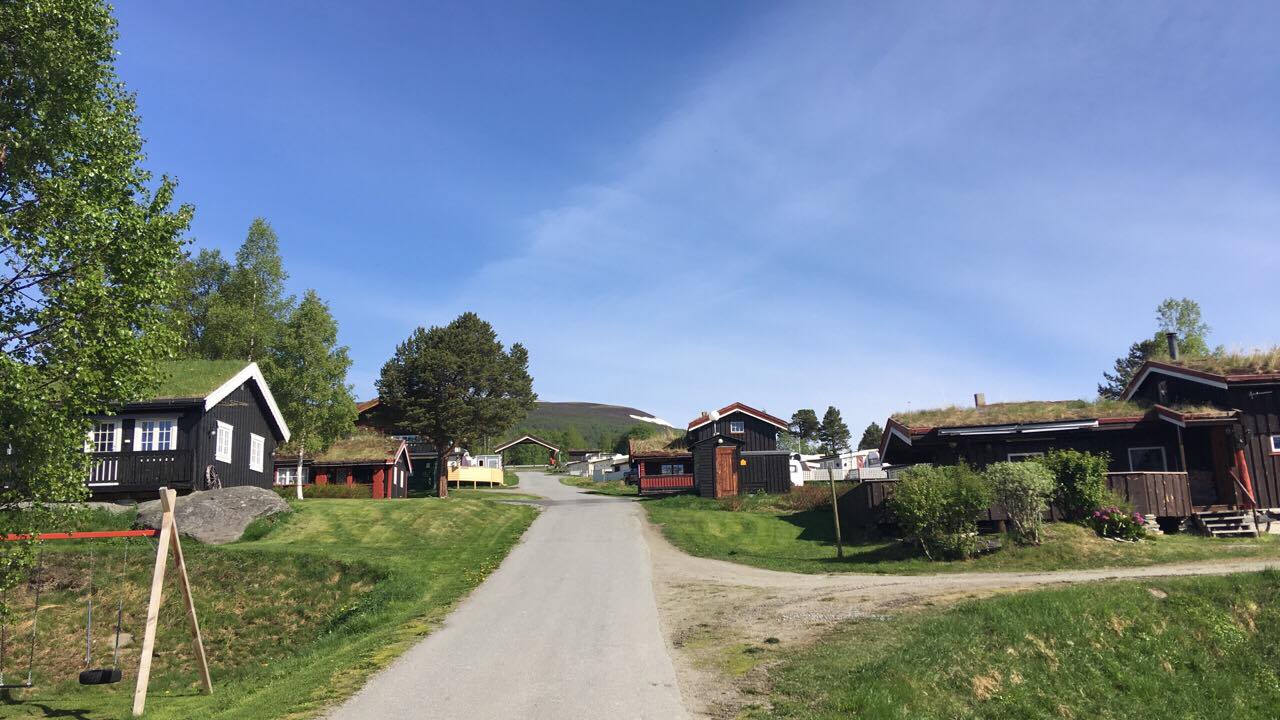 Breesgård Camping — photo 4